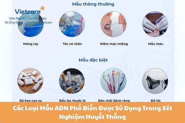 Các Loại Mẫu ADN Phổ Biến Được Sử Dụng Trong Xét Nghiệm Huyết Thống