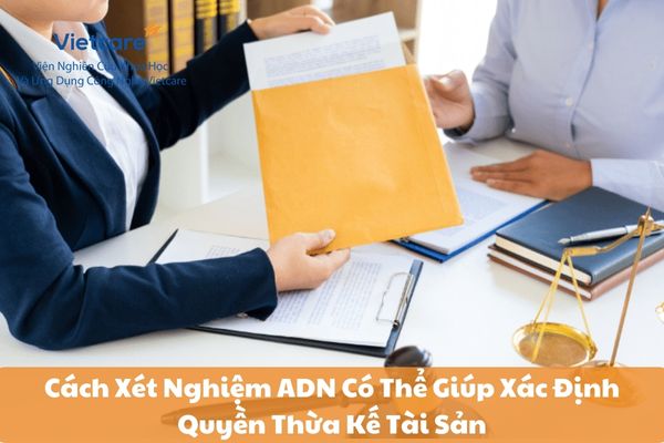 Cách Xét Nghiệm ADN Có Thể Giúp Xác Định Quyền Thừa Kế Tài Sản