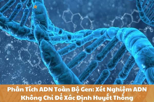 Phân Tích ADN Toàn Bộ Gen: Xét Nghiệm ADN Không Chỉ Để Xác Định Huyết Thống