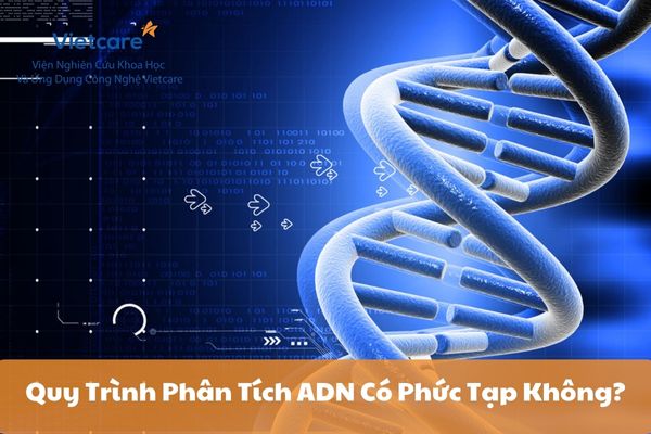 Quy Trình Phân Tích ADN Có Phức Tạp Không?