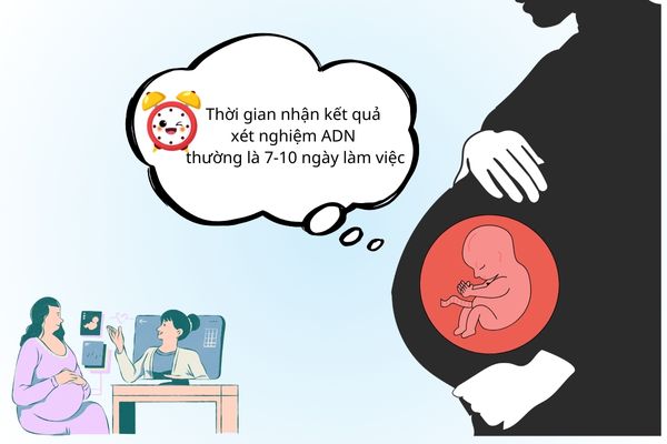 kết quả xét nghiệm ADN thường là 7-10 ngày làm việc