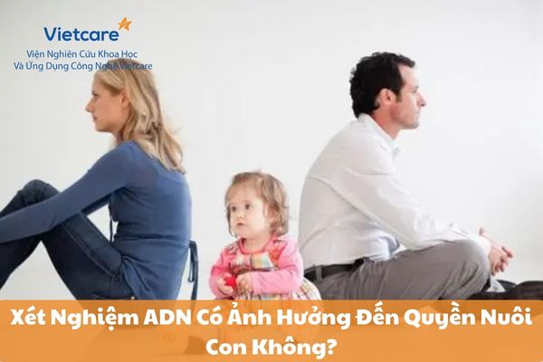 Xét Nghiệm ADN Có Ảnh Hưởng Đến Quyền Nuôi Con Không