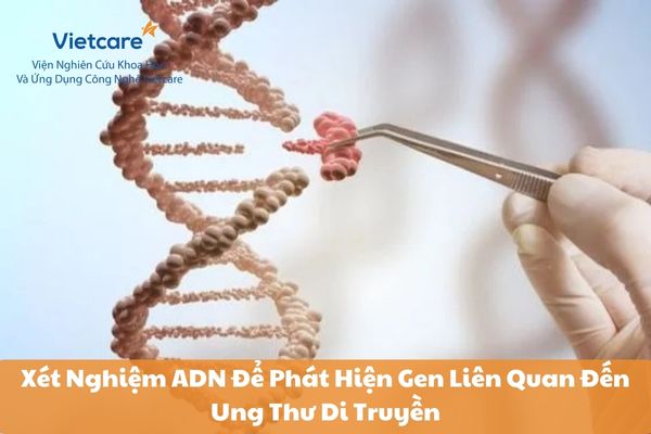 Xét Nghiệm ADN Để Phát Hiện Gen Liên Quan Đến Ung Thư Di Truyền