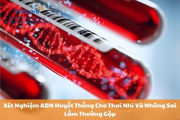 Xét Nghiệm ADN Huyết Thống Cho Thai Nhi Và Những Sai Lầm Thường Gặp