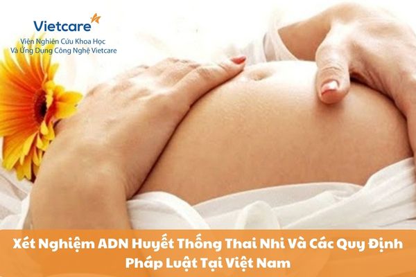 Xét Nghiệm ADN Huyết Thống Thai Nhi Và Các Quy Định Pháp Luật Tại Việt Nam