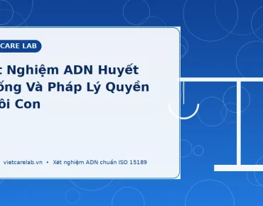 Xét Nghiệm ADN Huyết Thống Và Những Trường Hợp Pháp Lý Phức Tạp Liên Quan Đến Quyền Nuôi Con 5 Xét nghiệm ADN huyết thống pháp lý quyền nuôi con
