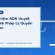 Xét nghiệm ADN huyết thống pháp lý quyền nuôi con