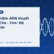 Xét nghiệm ADN huyết thống cha con độ chính xác